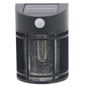 Solar Filament Black Motion Sensing Outdoor LED Wall Light (Model SL1836)